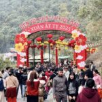 481905501 956795073269319 7633040048463055279 N