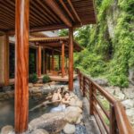 486480537 1881307939281152 7846381472483864663 N