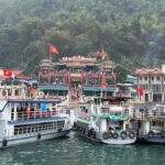 486536903 1690596324909102 910549345488052540 N