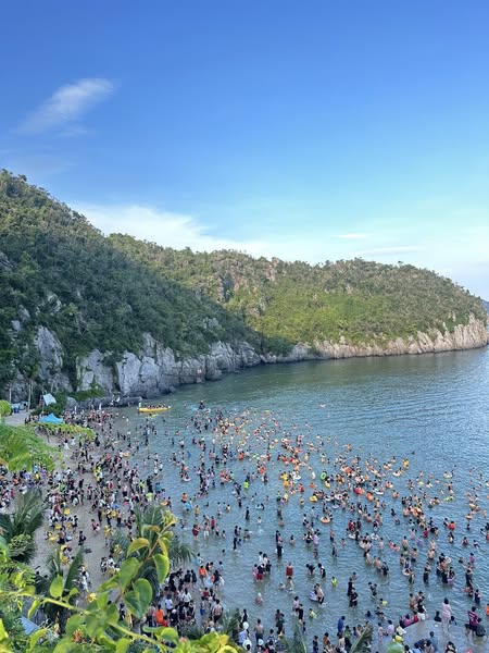 518555693 23908151158879614 2444402502199256311 N